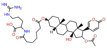 3-(N-Pimeloyl argininyl)-cinobufagin